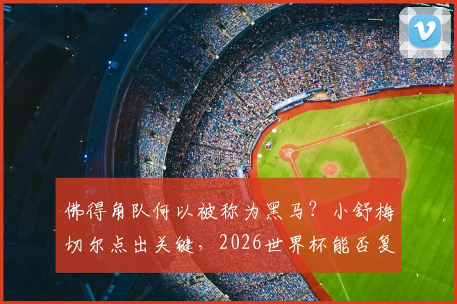 佛得角队何以被称为黑马？小舒梅切尔点出关键，2026世界杯能否复制莱斯特城奇迹？