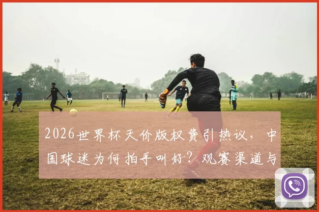 2026世界杯天价版权费引热议,中国球迷为何拍手叫好?观赛渠道与心态全解析