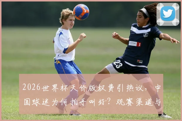 2026世界杯天价版权费引热议，中国球迷为何拍手叫好？观赛渠道与心态全解析